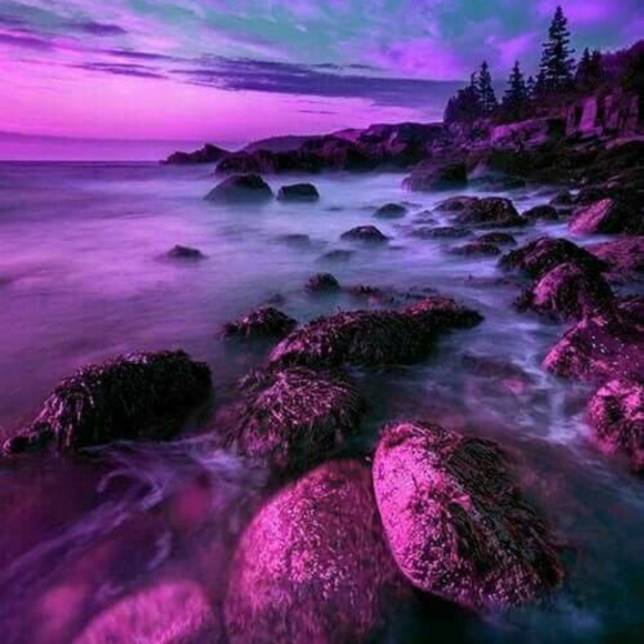 Meet your Posher, Dawn - Picture 1 of 1